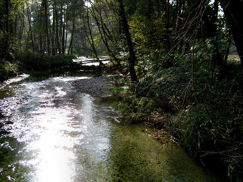 Fontane Bianche di Fontigo a Falzè di Piave Sernaglia della Battaglia