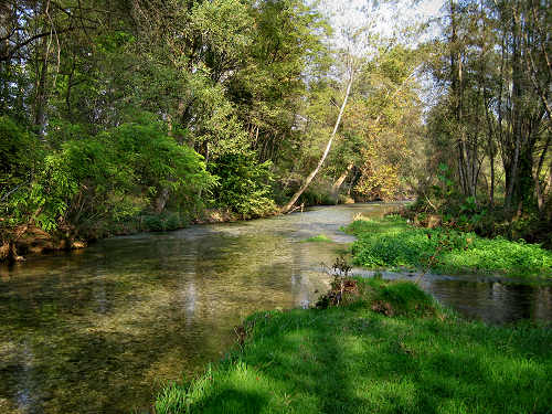Fontane Bianche di Fontigo a Falzè di Piave Sernaglia della Battaglia