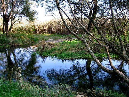 Fontane Bianche di Fontigo a Falzè di Piave Sernaglia della Battaglia