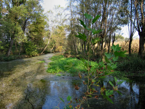 Fontane Bianche di Fontigo a Falzè di Piave Sernaglia della Battaglia