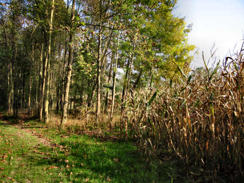 Fontane Bianche di Fontigo a Falzè di Piave Sernaglia della Battaglia