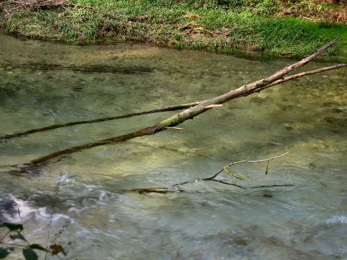 Fontane Bianche di Fontigo a Falzè di Piave Sernaglia della Battaglia