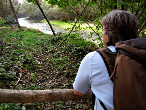 Fontane Bianche di Fontigo a Falzè di Piave Sernaglia della Battaglia