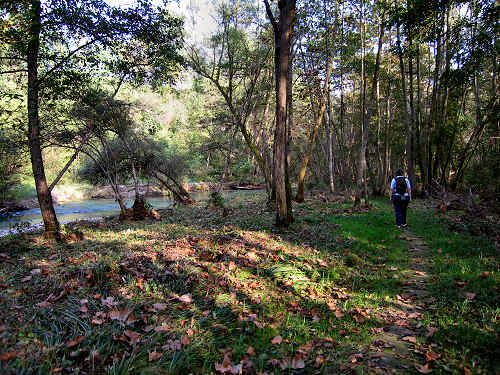 Fontane Bianche di Fontigo a Falzè di Piave Sernaglia della Battaglia