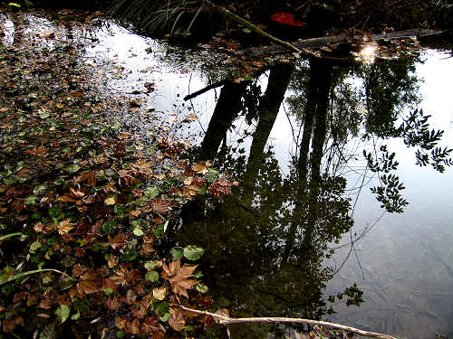 Fontane Bianche di Fontigo a Falzè di Piave Sernaglia della Battaglia