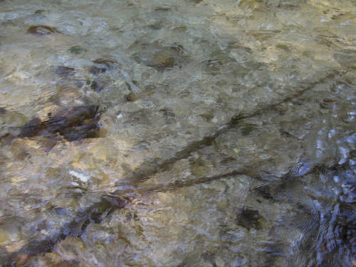 Fontane Bianche di Fontigo a Falzè di Piave Sernaglia della Battaglia