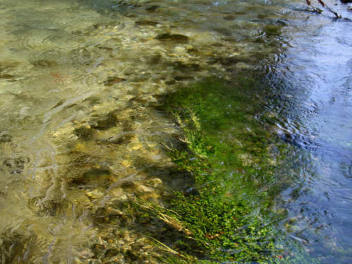 Fontane Bianche di Fontigo a Falzè di Piave Sernaglia della Battaglia
