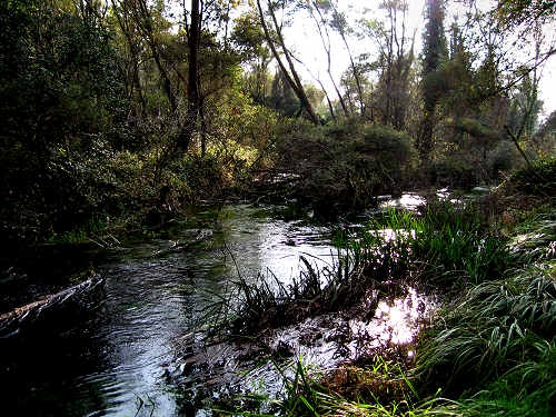 Fontane Bianche di Fontigo a Falzè di Piave Sernaglia della Battaglia