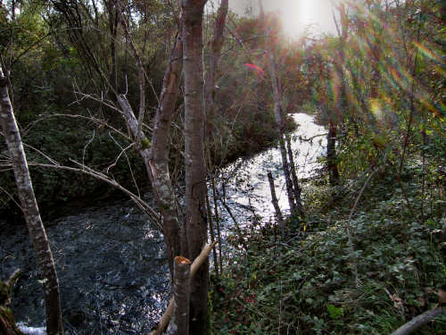 Fontane Bianche di Fontigo a Falzè di Piave Sernaglia della Battaglia