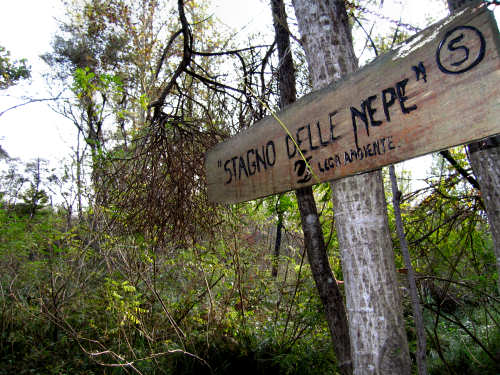 Fontane Bianche di Fontigo a Falzè di Piave Sernaglia della Battaglia