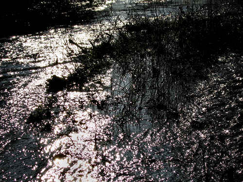 Fontane Bianche di Fontigo a Falzè di Piave Sernaglia della Battaglia