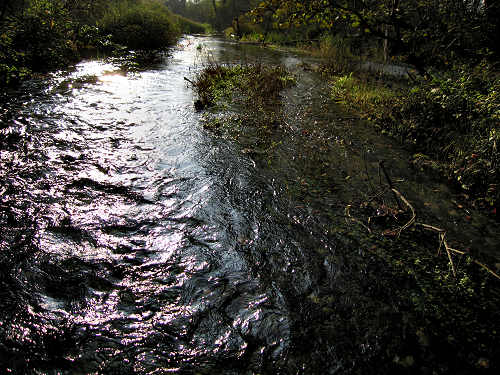 Fontane Bianche di Fontigo a Falzè di Piave Sernaglia della Battaglia