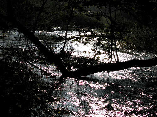 Fontane Bianche di Fontigo a Falzè di Piave Sernaglia della Battaglia