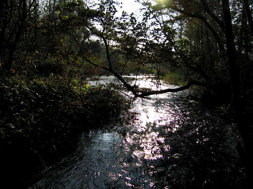 Fontane Bianche di Fontigo a Falzè di Piave Sernaglia della Battaglia