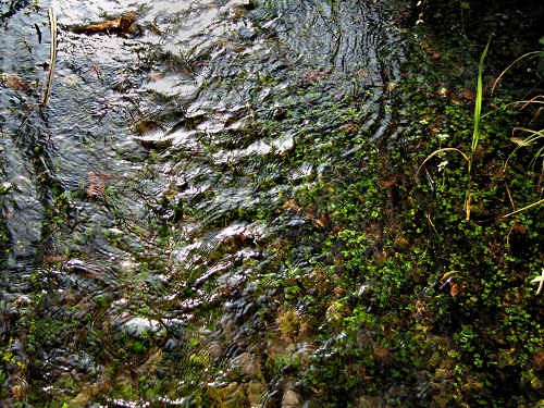 Fontane Bianche di Fontigo a Falzè di Piave Sernaglia della Battaglia