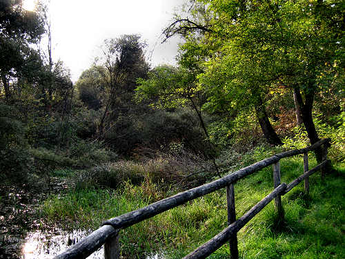 Fontane Bianche di Fontigo a Falzè di Piave Sernaglia della Battaglia