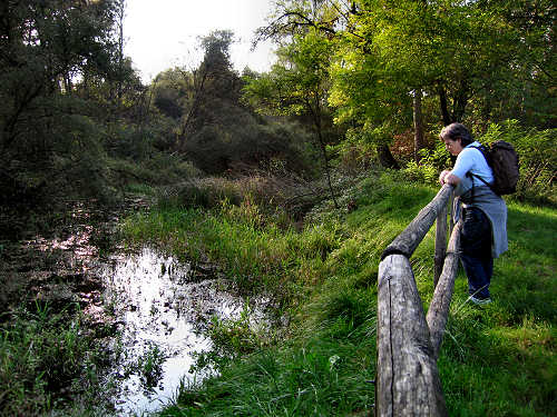 Fontane Bianche di Fontigo a Falzè di Piave Sernaglia della Battaglia