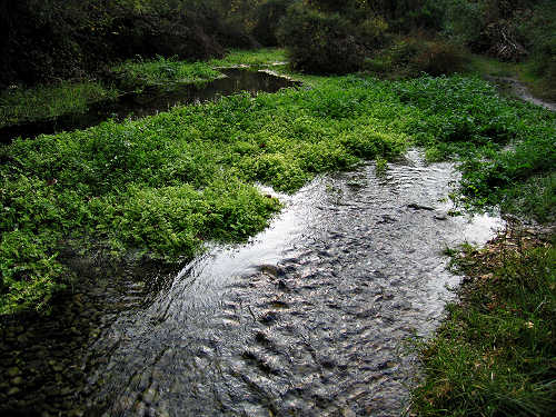Fontane Bianche di Fontigo a Falzè di Piave Sernaglia della Battaglia