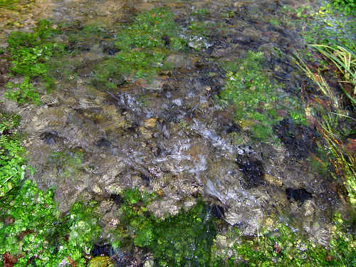 Fontane Bianche di Fontigo a Falzè di Piave Sernaglia della Battaglia