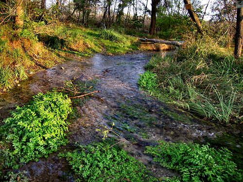 Fontane Bianche di Fontigo a Falzè di Piave Sernaglia della Battaglia