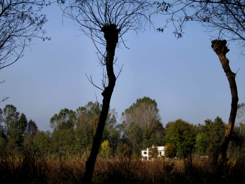 Fontane Bianche di Fontigo a Falzè di Piave Sernaglia della Battaglia