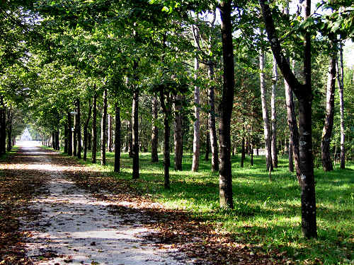 Isola dei Morti - Moriago della Battaglia - Quartier del Piave