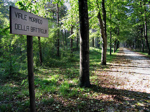 Isola dei Morti - Moriago della Battaglia - Quartier del Piave