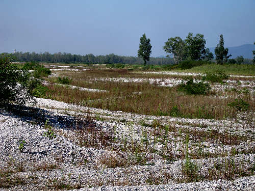 Isola dei Morti - Moriago della Battaglia - Quartier del Piave