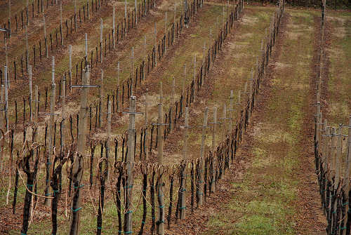 Vidor - Quartier del Piave