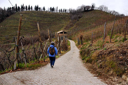 Vidor - Quartier del Piave