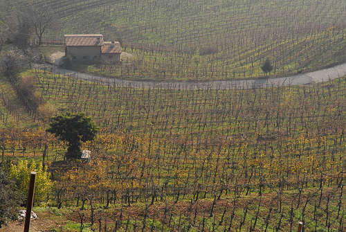 Farra di Soligo, San Gallo, Collagù