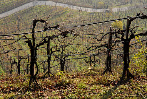 Farra di Soligo, San Gallo, Collagù
