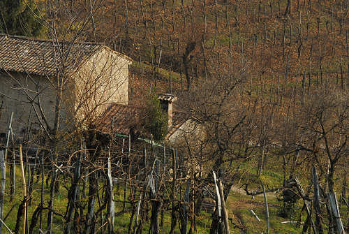 Farra di Soligo, San Gallo, Collagù