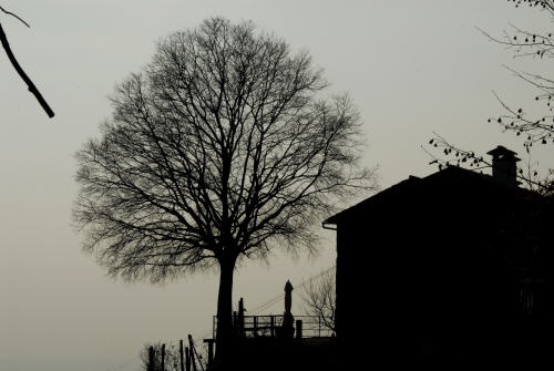 Farra di Soligo, San Gallo, Collagù