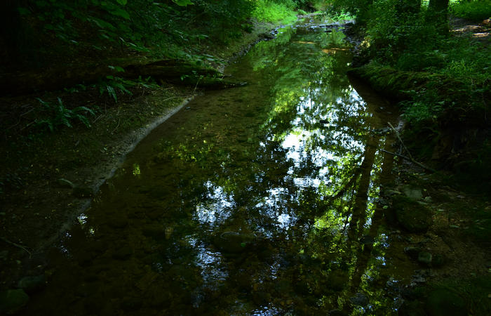 Parco del Piave Settolo Basso a Bigolino di Valdobbiadene