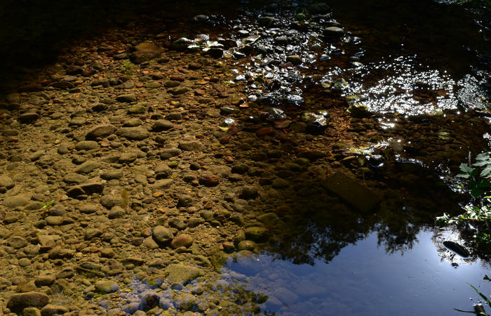 Parco del Piave Settolo Basso a Bigolino di Valdobbiadene