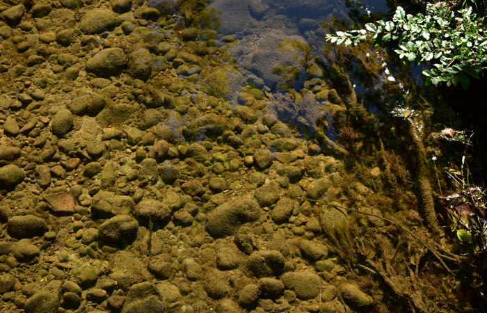 Parco del Piave Settolo Basso a Bigolino di Valdobbiadene