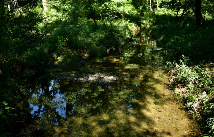 Parco del Piave Settolo Basso a Bigolino di Valdobbiadene