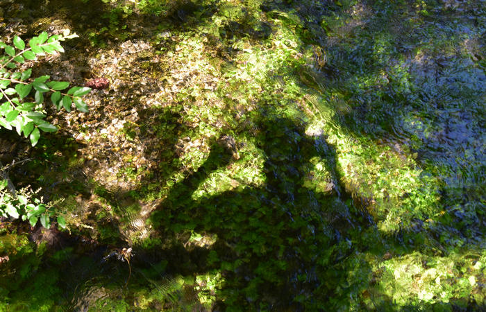 Parco del Piave Settolo Basso a Bigolino di Valdobbiadene