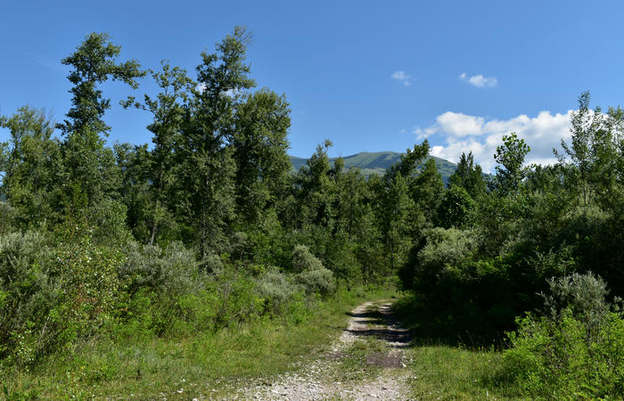 Parco del Piave Settolo Basso a Bigolino di Valdobbiadene
