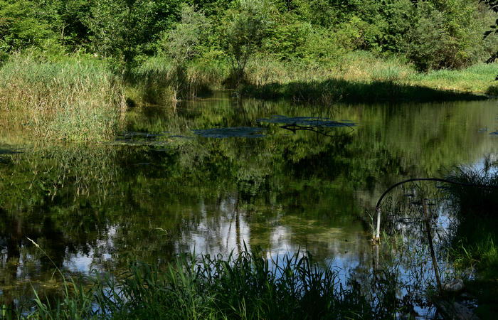 Parco del Piave Settolo Basso a Bigolino di Valdobbiadene