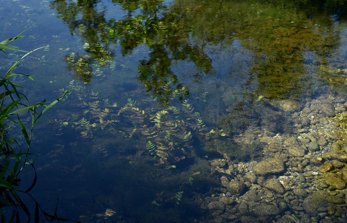 Parco del Piave Settolo Basso a Bigolino di Valdobbiadene