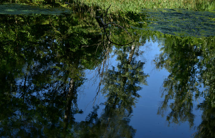 Parco del Piave Settolo Basso a Bigolino di Valdobbiadene
