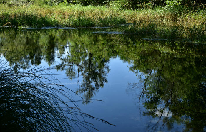 Parco del Piave Settolo Basso a Bigolino di Valdobbiadene