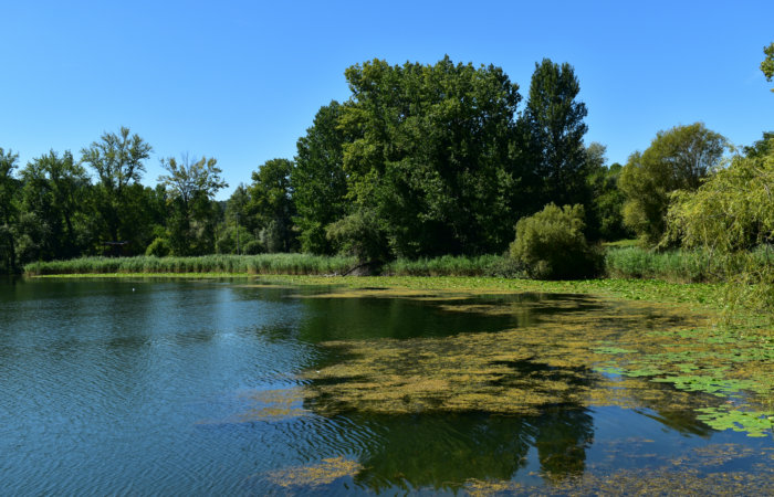 La Valsana o La Vallata, prealpi Trevigiane