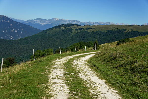 giro del monte Cesen in mountain bike, Pianezze Molvine Milies Capitel di Garda malga Mariech
