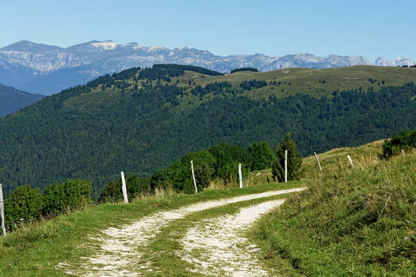 giro del monte Cesen in mountain bike, Pianezze Molvine Milies Capitel di Garda malga Mariech