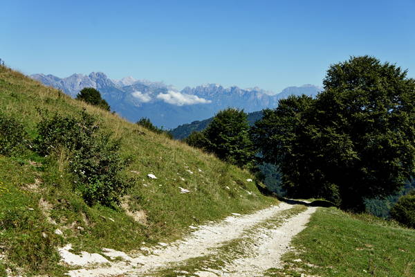 giro del monte Cesen in mountain bike, Pianezze Molvine Milies Capitel di Garda malga Mariech