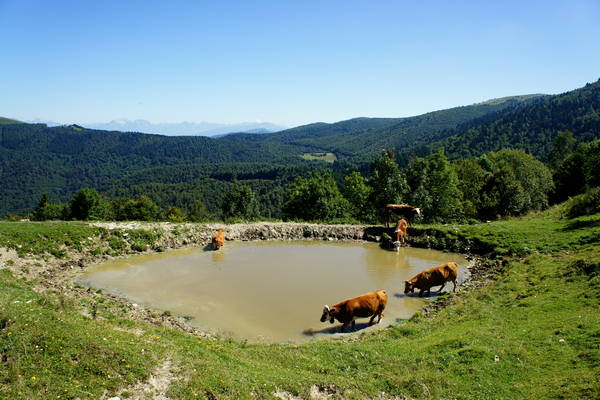 giro del monte Cesen in mountain bike, Pianezze Molvine Milies Capitel di Garda malga Mariech