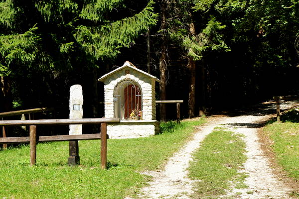 giro del monte Cesen in mountain bike, Pianezze Molvine Milies Capitel di Garda malga Mariech